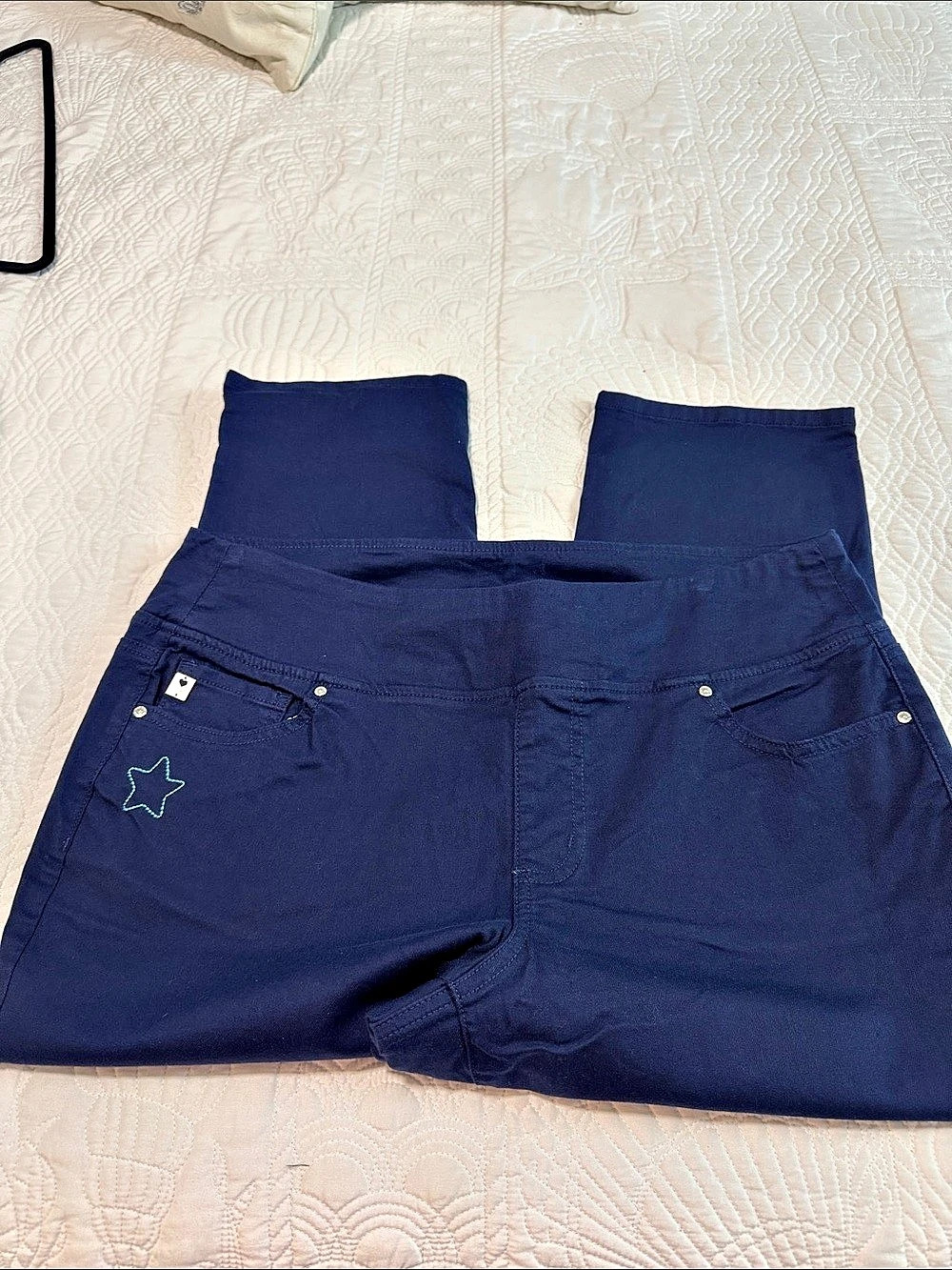 Belle by Kim Gravel Blue Cropped Pants Size 18WP